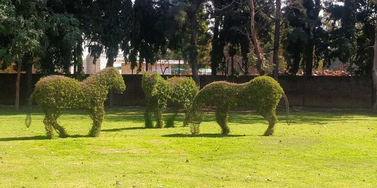 Topiary Park